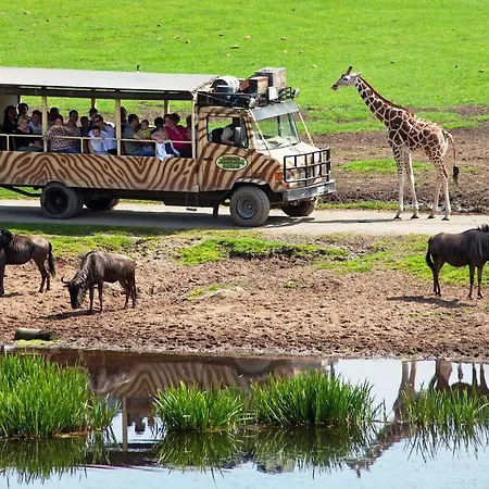 Gaestehaus Suedheide